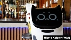 Bella Fátima, un robot con rostro de gato, reparte bebida en un restaurante de Los Teques, en Venezuela